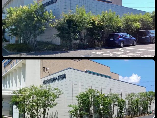 新年を綺麗なお庭で迎えませんか？お庭のことなら庭　翔黒にお任せください。サービスの画像