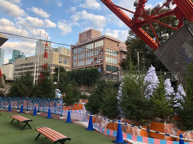 【即日対応・写真見積り可】お庭のことなら是非、庭　翔黒にお任せください！サービスの画像