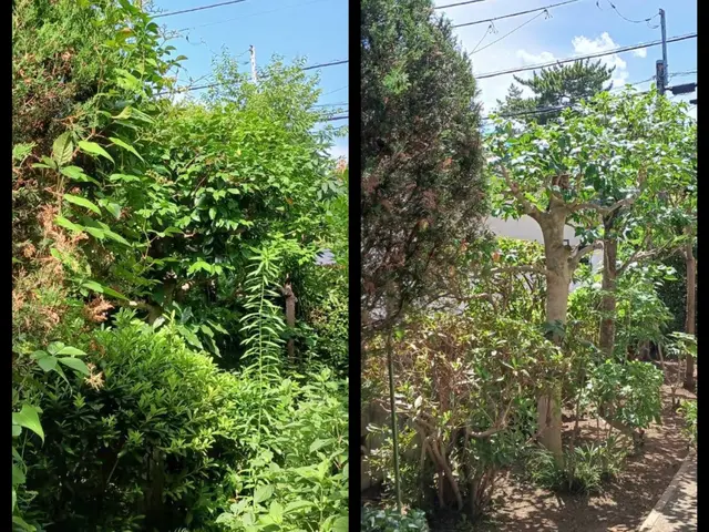 新年を綺麗なお庭で迎えませんか？お庭のことなら庭　翔黒にお任せください。サービスの画像