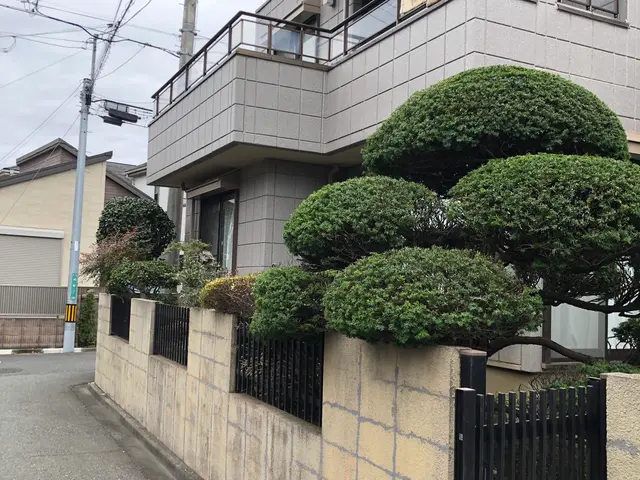 お庭の管理是非、庭　翔黒にお任せください！1月受付中です！サービスの画像