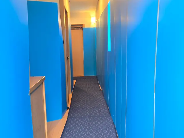 引越し大手出身の子育てパパが柔軟対応！時間外もOK！照明、洗濯機、脱着無料！サービスの画像