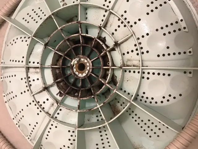 洗濯機ドラム引っこ抜いて、裏側みてみませんか？ニオイ、黒いカスの原因分かります！サービスの画像