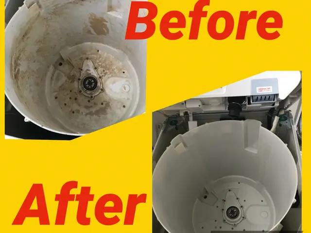 洗濯機ドラム引っこ抜いて、裏側みてみませんか？ニオイ、黒いカスの原因分かります！サービスの画像