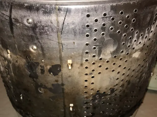 洗濯機ドラム引っこ抜いて、裏側みてみませんか？ニオイ、黒いカスの原因分かります！サービスの画像