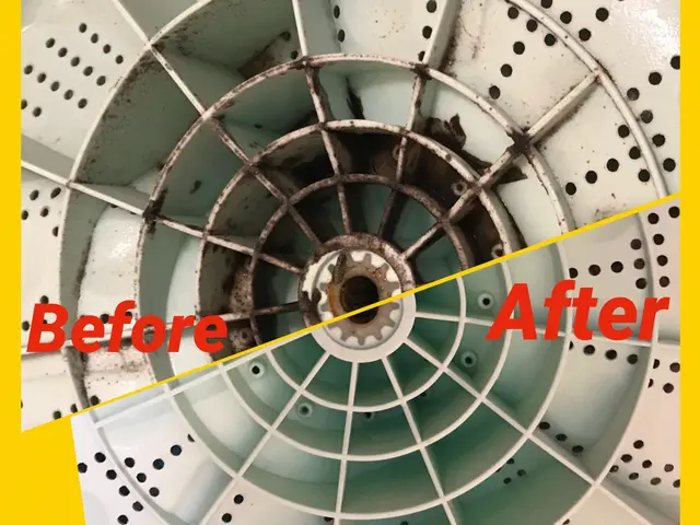 洗濯機ドラム引っこ抜いて、裏側みてみませんか？ニオイ、黒いカスの原因分かります！サービスの画像