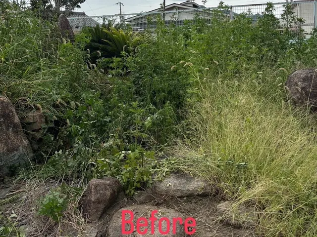 「期間限定、値下げ中」先着3名様まで。ご要望に合わせて丁寧なご対応で行いますサービスの画像