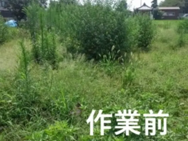 お庭や畑回り、アパートの共有部分や空き家などの草刈り。土日対応で実績多数あり。サービスの画像