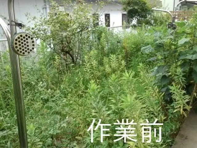 お庭や畑回り、アパートの共有部分や空き家などの草刈り。土日対応で実績多数あり。サービスの画像