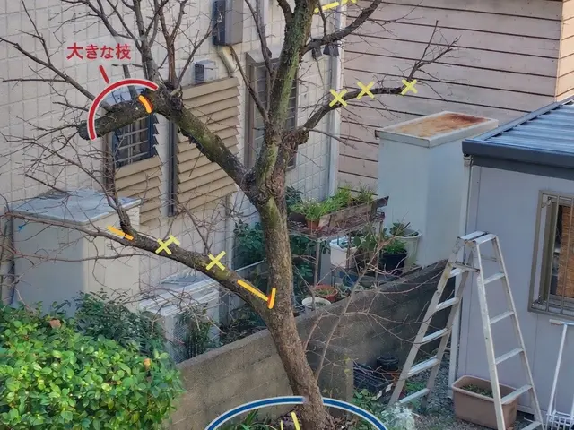 ◆◇12月新規出店◇◆料理人経験者による丁寧かつパワフルな力仕事！信頼の技術◎サービスの画像