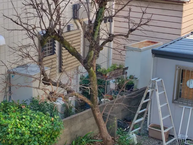 ◆◇12月新規出店◇◆料理人経験者による丁寧かつパワフルな力仕事！信頼の技術◎サービスの画像