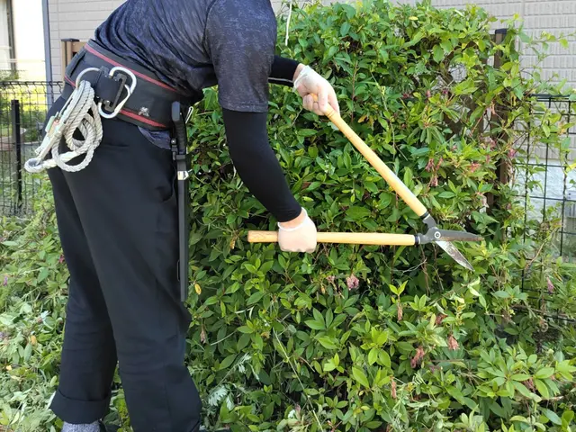 ★ご予約前に写真で簡単お見積もり♪★お庭スッキリ！★女性スタッフ同行可◯サービスの画像