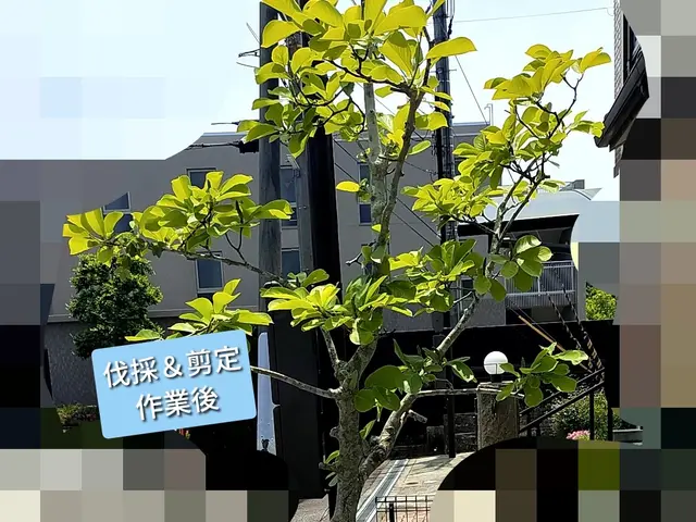 ★ご予約前に写真で簡単お見積もり♪★お庭スッキリ！★女性スタッフ同行可◯サービスの画像