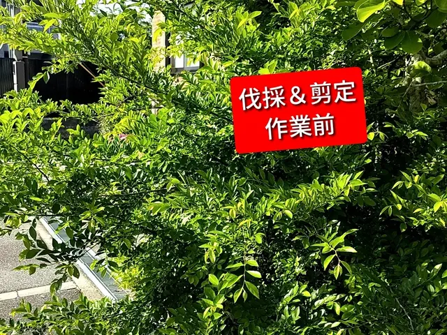 ★ご予約前に写真で簡単お見積もり♪★お庭スッキリ！★女性スタッフ同行可◯サービスの画像