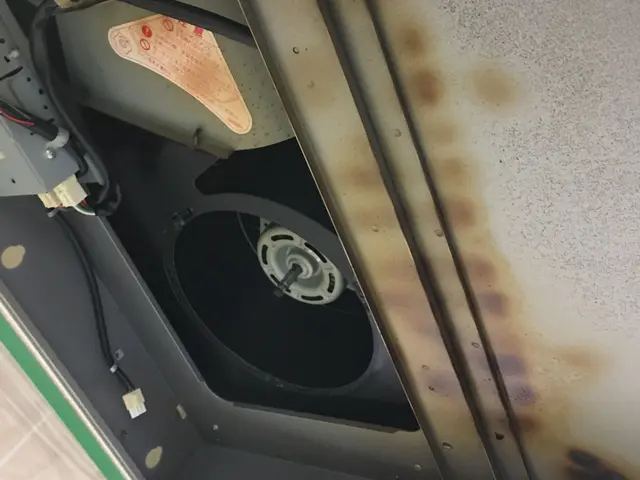 ＜損保加入済＞安心、安全！お子さんやペットにもやさしい洗剤を使用してます。サービスの画像