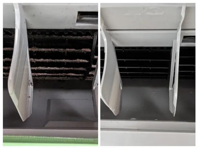 『猫・犬ちゃんにも安心』天然エコ洗剤【非喫煙者】◎暖房を使う前にクリーニング！サービスの画像