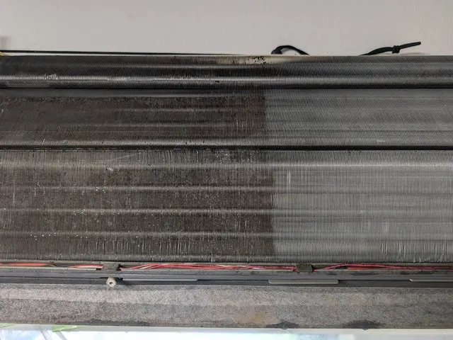 『猫・犬ちゃんにも安心』天然エコ洗剤【非喫煙者】◎暖房を使う前にクリーニング！サービスの画像