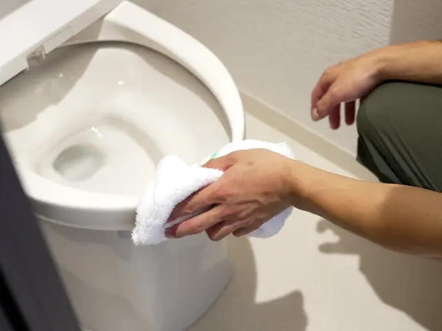 PayPayも可！トイレをピカピカに運気もアップ！サービスの画像