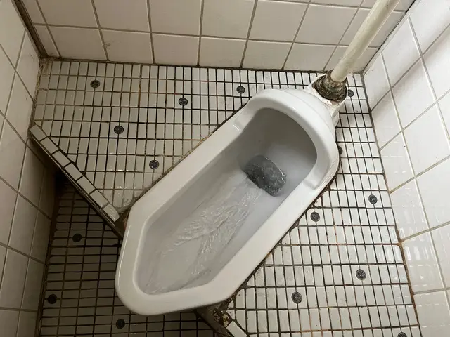 PayPayも可！トイレをピカピカに運気もアップ！サービスの画像