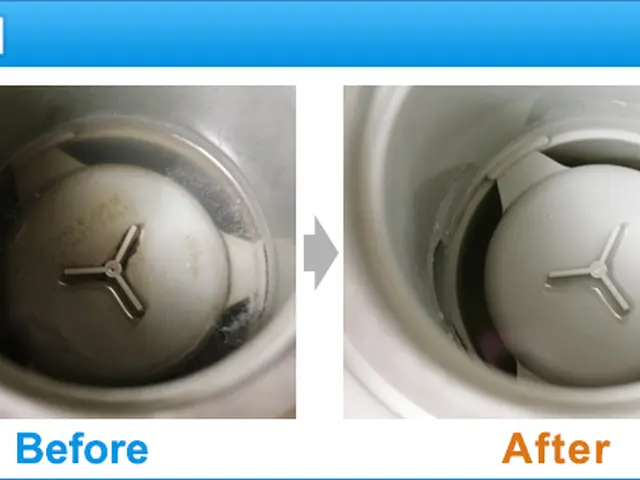 安心のキッチンクリーニングサービス♪サービスの画像