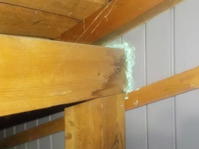 ●害虫駆除●24時間急行●後日払いOK●お気軽にお問い合わせ下さい！サービスの画像