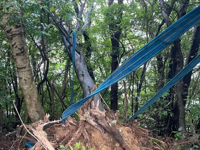 【5月新出店】5年で700件以上の実績！土木のプロが庭を素敵に変身サービスの画像