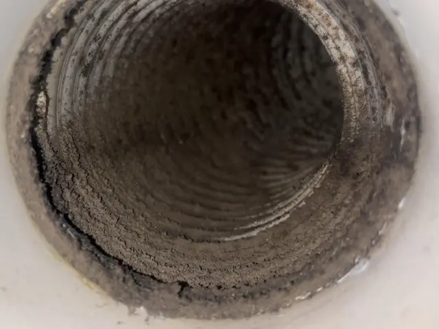 ★女性スタッフ同行可★大手仕込みのプロが直接訪問！保険加入済みで安心クリーニングサービスの画像