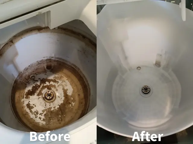 洗濯機クリーニング｜初めての方も安心の丁寧対応｜内部までしっかり洗浄サービスの画像