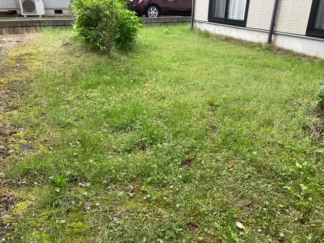 夏場の大変な草刈りお任せください！サービスの画像