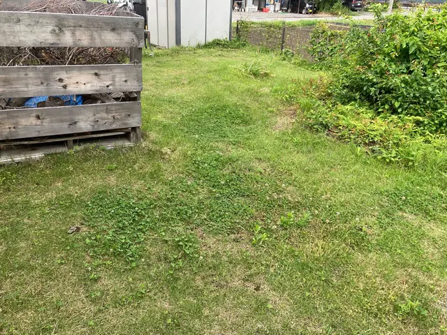 夏場の大変な草刈りお任せください！サービスの画像