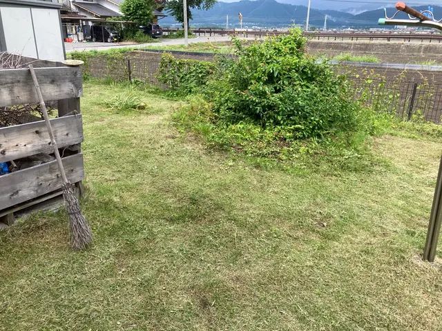 夏場の大変な草刈りお任せください！サービスの画像
