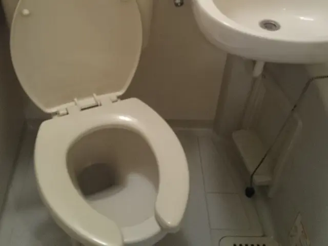 【一日一件集中対応】●逃げがちな水回りのお掃除お任せ下さい★店長訪問★ペットOKサービスの画像