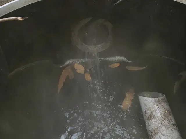 戸建排水管内洗浄サービスの画像