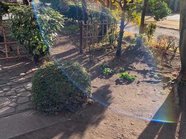 どんな広い場所でも丁寧に落ち葉拾いさせていただきます！！サービスの画像