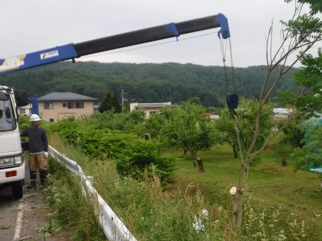 【天童市発】業界歴50年！伐採のご依頼多数いただいておりますサービスの画像