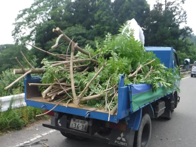 【天童市発】業界歴50年！伐採のご依頼多数いただいておりますサービスの画像