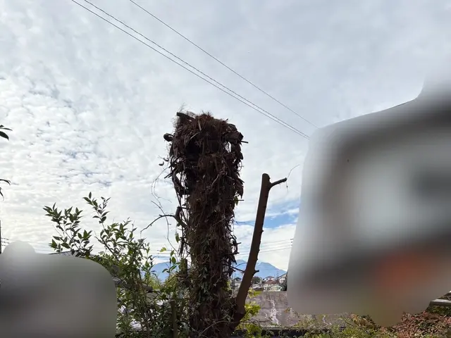 【女性スタッフ同行】ご要望を丁寧にお聞きし、理想の庭を実現するオーダーメイド剪定サービスの画像