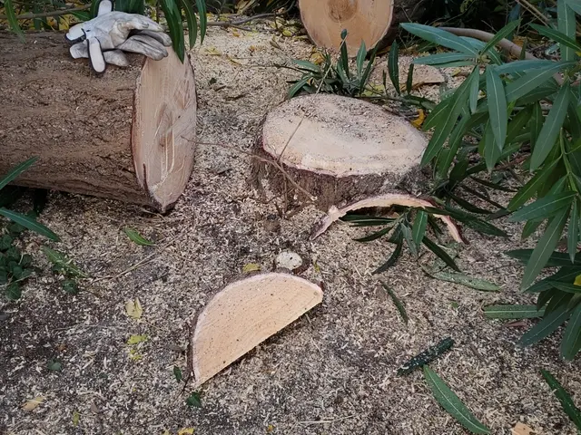 ＜業界10年！年中無休＞100％自社対応◎営業時間外・対応地域外でもご要望可能！サービスの画像