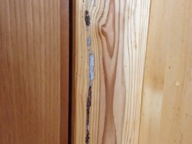 【P代店負担☆損害保険加入済み♪】設立２０周年！大切な家をシロアリから守ります◎サービスの画像