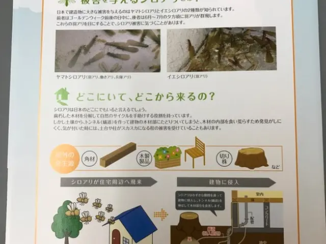 【P代店負担☆損害保険加入済み♪】設立２０周年！大切な家をシロアリから守ります◎サービスの画像