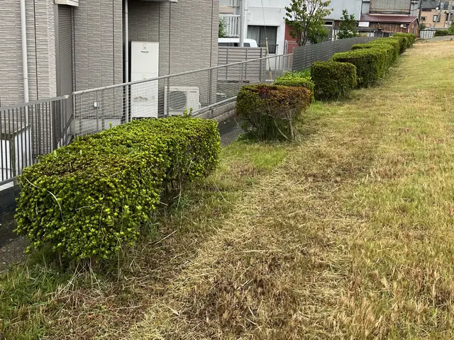 丁寧さと安全性にこだわる、心地よい庭づくりのプロフェッショナルサービスの画像