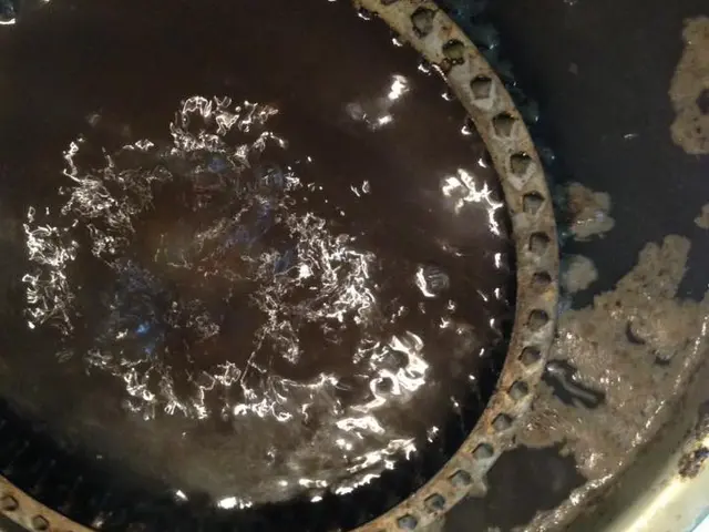 換気扇煮沸、磨き上げフルコースサービスの画像