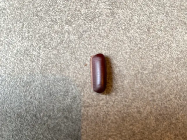 ゴキブリ（G）は突然やって来ます！38年の実績で徹底的に駆除、予防いたします！サービスの画像