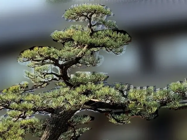 ♢お客様の想いを最優先♢【PayPay・カード決済 可】お庭を楽しみましょう！サービスの画像