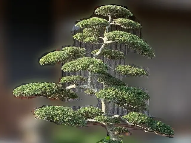 ♢お客様の想いを最優先♢【PayPay・カード決済 可】お庭を楽しみましょう！サービスの画像