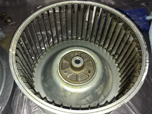 【期間限定料金で提供中】お得な価格で納得のいくキレイをお届けします！サービスの画像