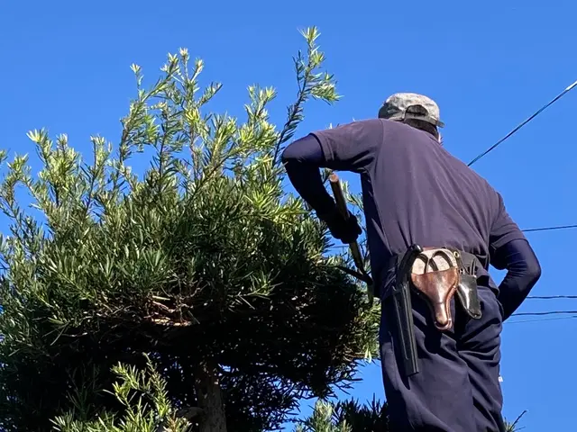 【大切なお庭をさらに素敵に】業歴10年☆　 一本一本丁寧に作業致します！サービスの画像