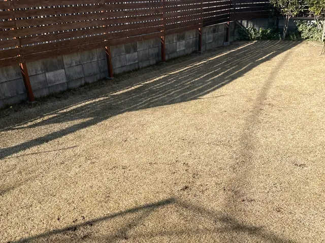 草むしり（手作業）サービスの画像