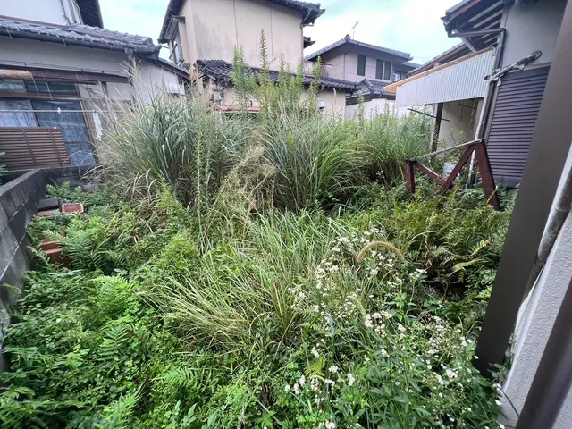 シーズン到来ご予約、お問い合わせ急増中！お庭のお手入れお任せ下さい☆サービスの画像