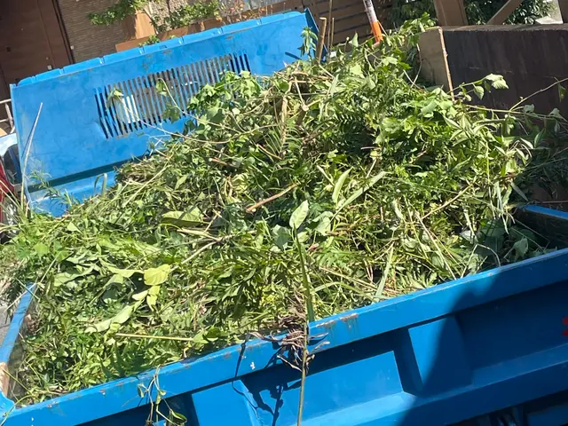 シーズン到来ご予約、お問い合わせ急増中！お庭のお手入れお任せ下さい☆サービスの画像