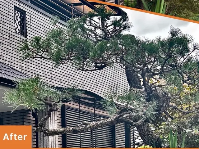 【年内作業可能！】草刈り／剪定／伐採｜関西全域対応｜追加費用なしの安心見積りサービスの画像